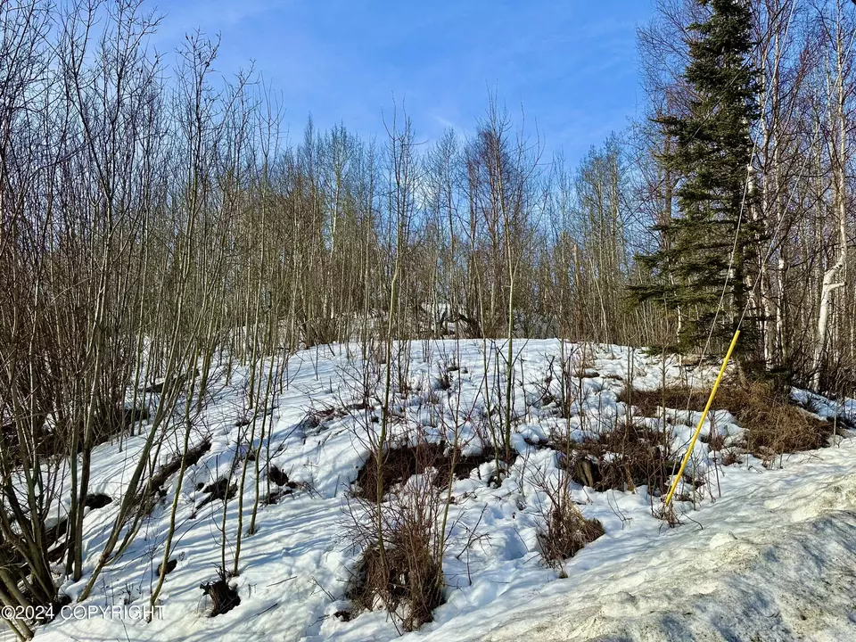  Nhn N Fish Lake Road, Chickaloon, AK 99674 photo 21