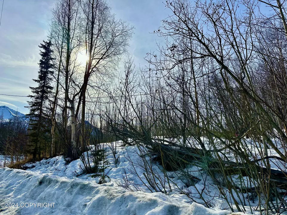 Nhn N Fish Lake Road, Chickaloon, AK 99674 photo 16