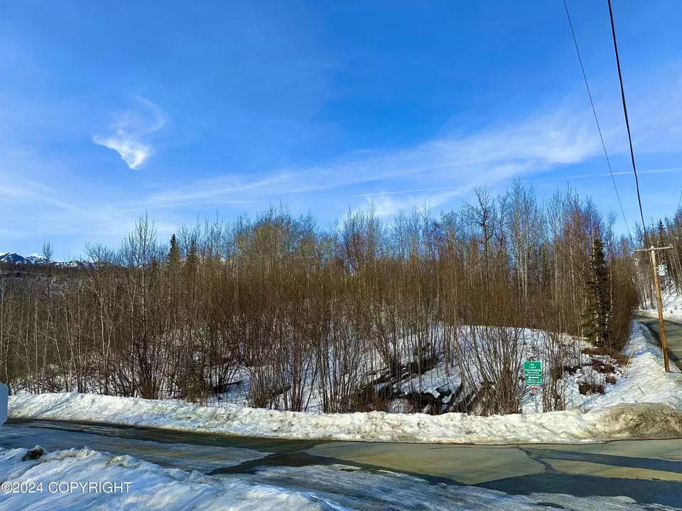  Nhn N Fish Lake Road, Chickaloon, AK 99674 photo 14