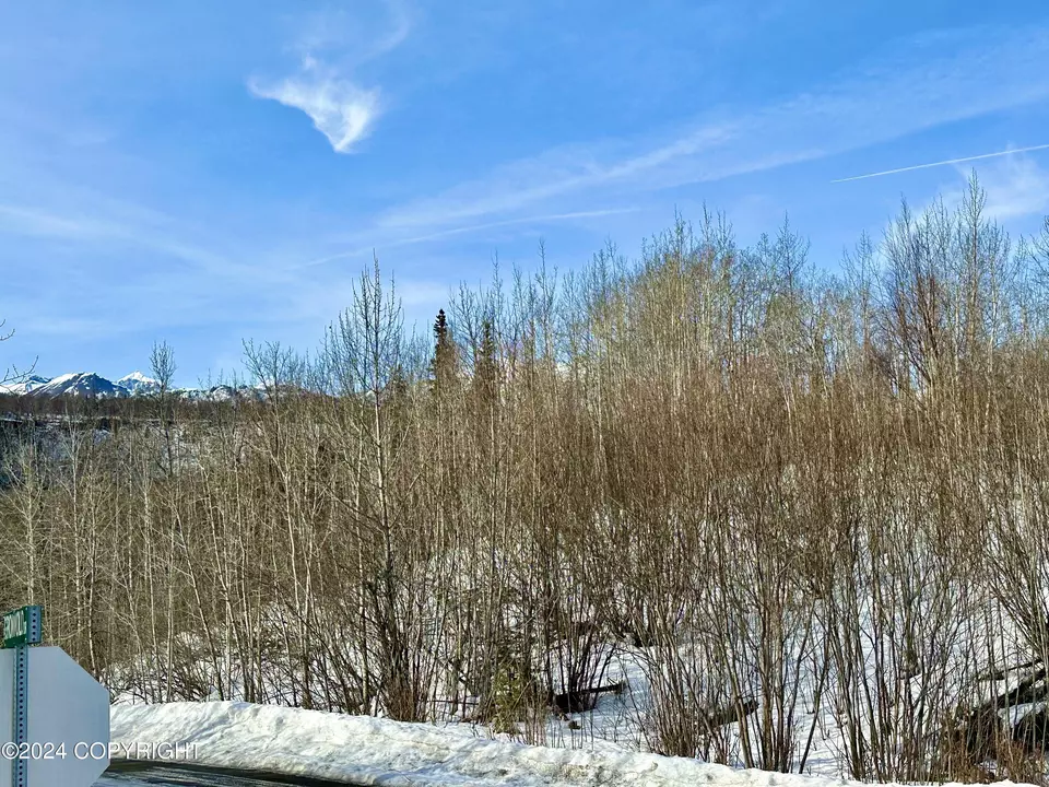  Nhn N Fish Lake Road, Chickaloon, AK 99674 photo 20