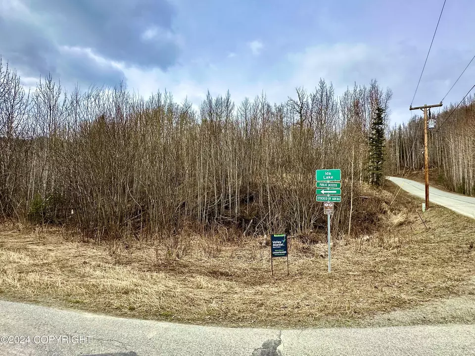  Nhn N Fish Lake Road, Chickaloon, AK 99674 photo 9