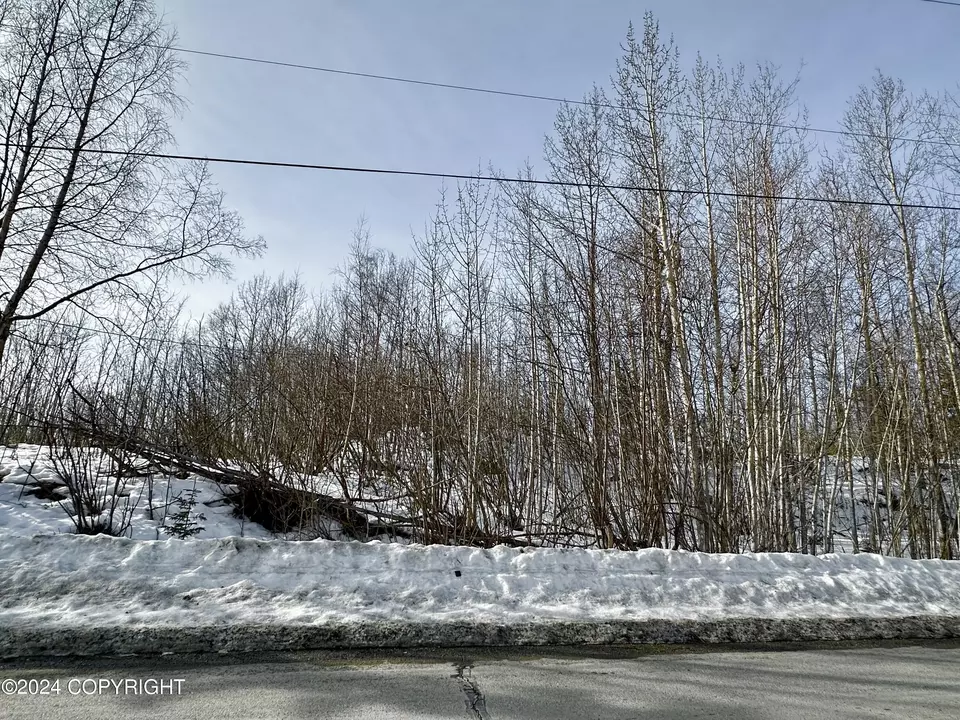  Nhn N Fish Lake Road, Chickaloon, AK 99674 photo 17