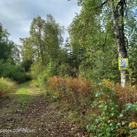 10500 E Walter Harper Way, Remote, AK 99683