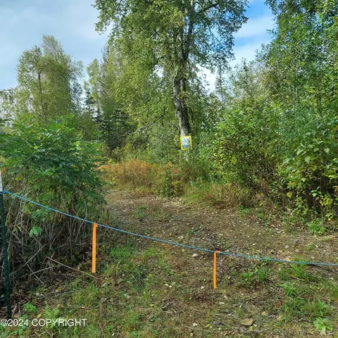 10500 E Walter Harper Way, Remote, AK 99683 photo 2