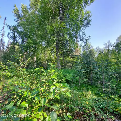 10500 E Walter Harper Way, Remote, AK 99683 photo 5