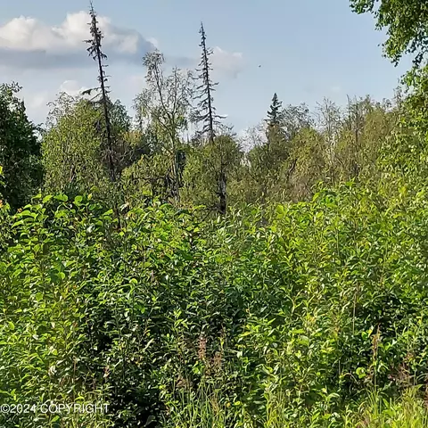 10500 E Walter Harper Way, Remote, AK 99683 photo 7