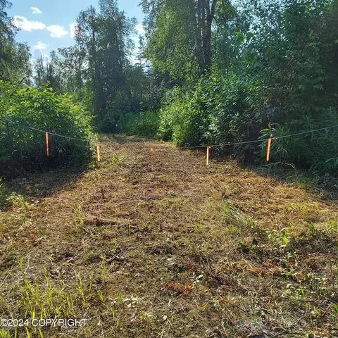 10500 E Walter Harper Way, Remote, AK 99683 photo 3