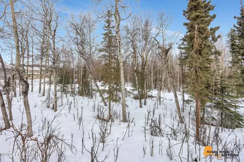 View/Area - 3003 Cheyenne Ct # 2, Anchorage, AK 99507 photo 1 of 1