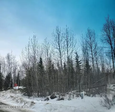 L1 B1 Irish Setter Circle, Wasilla, AK 99623