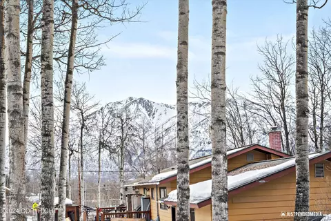 Exterior - 10703 Chatanika Loop, Eagle River, AK 99577 photo 8 of 21