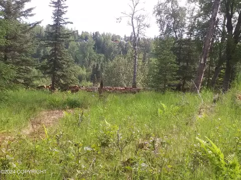 16570 Happy O Ave, Ninilchik, AK 99639