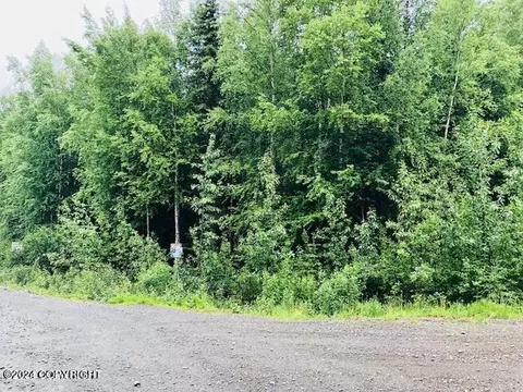 37095 Birkenweg St, Soldotna, AK 99669