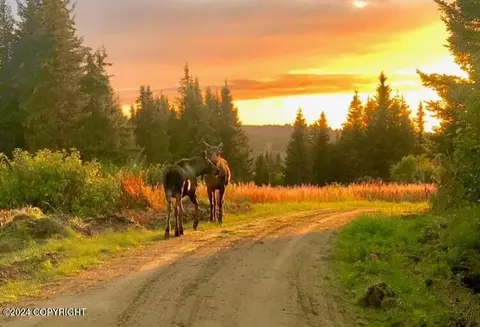 0000 Bridge Creek Xing, Homer, AK 99603