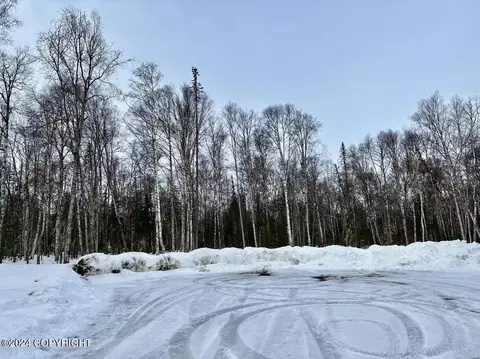 25708 S Gardeners Ln, Talkeetna, AK 99676