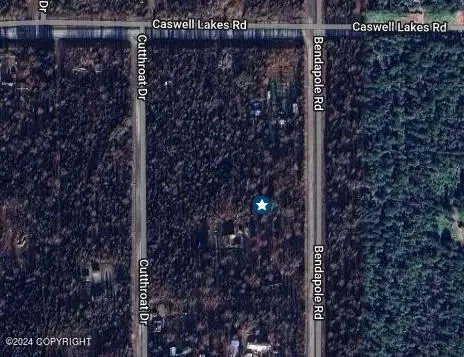 49404 Bendapole Rd, Willow, AK 99688