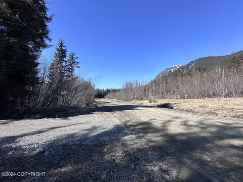 Nhn Chestnut Drive, Haines, AK 99827