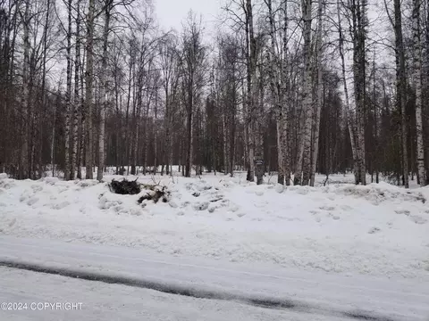 19996-74 E Record Ave, Willow, AK 99688 photo 2