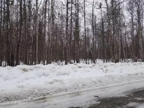 19996-74 E Record Ave, Willow, AK 99688