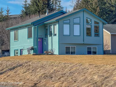 1224 Cook Way, Homer, AK 99603