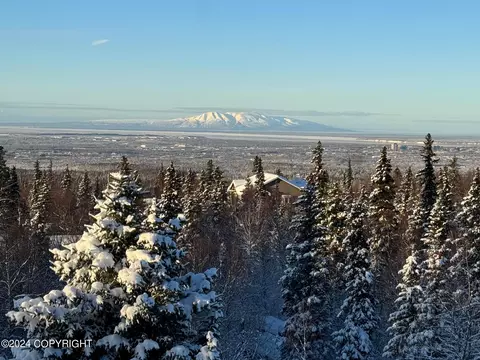 11271 Mountain Lake Dr, Anchorage, AK 99516