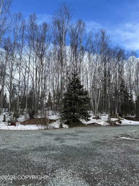 19841 Sunset Blvd, Chugiak, AK 99567 photo 7