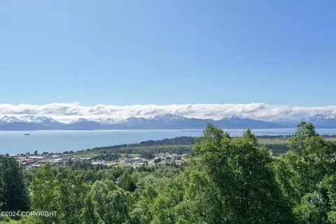 2970 Kestrel Cir, Homer, AK 99603