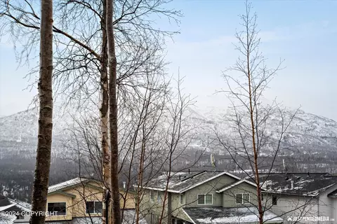 Exterior - 20732 Mountain Vista Dr, Eagle River, AK 99577 photo 6 of 9