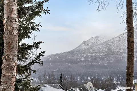 Other - 20732 Mountain Vista Dr, Eagle River, AK 99577 photo 1 of 10