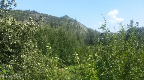 Mile 32.6 Edgerton Highway, Chitina, AK 99566
