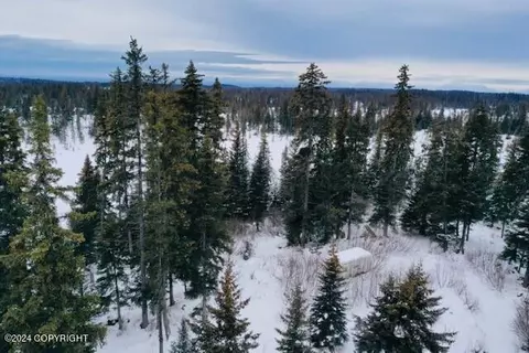 37467 Rascal Ln, Anchor Point, AK 99556
