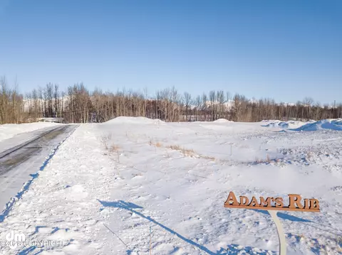 L1 B3 E Apple Circle, Palmer, AK 99645 photo 41