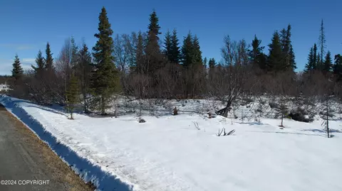 L4 B2 Fishhook Road, Ninilchik, AK 99639 photo 16