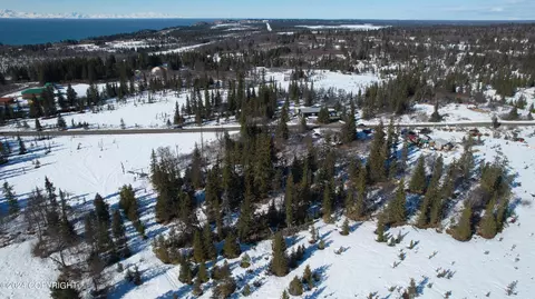L4 B2 Fishhook Road, Ninilchik, AK 99639 photo 12