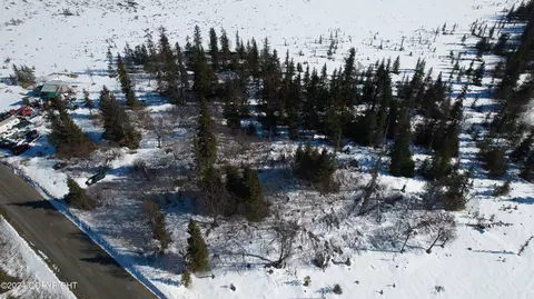 L4 B2 Fishhook Road, Ninilchik, AK 99639 photo 10