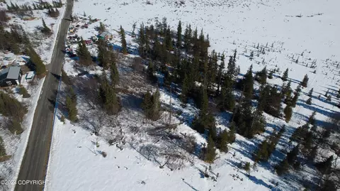 L4 B2 Fishhook Road, Ninilchik, AK 99639 photo 11