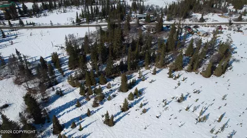 L4 B2 Fishhook Road, Ninilchik, AK 99639 photo 13