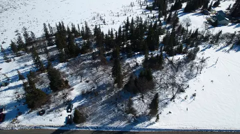 L4 B2 Fishhook Road, Ninilchik, AK 99639 photo 9