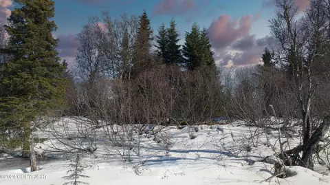 L4 B2 Fishhook Road, Ninilchik, AK 99639 photo 4