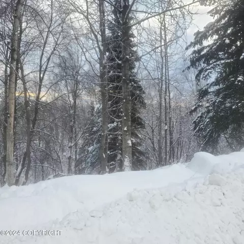 1020 W 16th Ave, Anchorage, AK 99501 photo 1