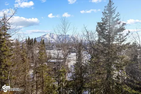 View/Area - 19510 Third St, Eagle River, AK 99577 photo 1 of 1