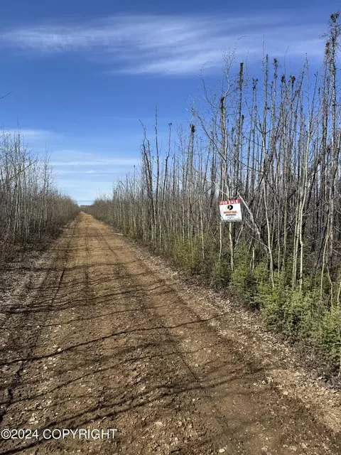 Nhn Kobe Ag Rd, Anderson, AK 99744