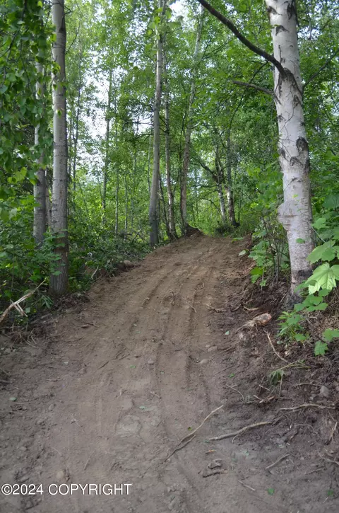 View/Area - 11833 Lugene Ln, Eagle River, AK 99577 photo 2 of 2