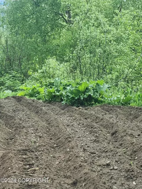 Other - 11833 Lugene Ln, Eagle River, AK 99577 photo 15 of 17