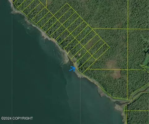 Lot 24 Duncan Canal, Petersburg, AK 99833