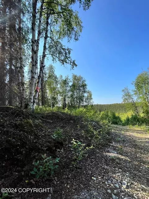 A002 No Road Trail, Willow, AK 99688