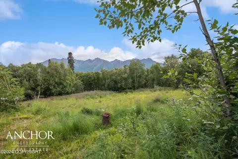 20343 E Birch Hill Dr, Palmer, AK 99645