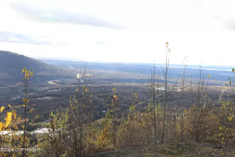 22069 Lynx Way, Eagle River, AK 99577 photo 3
