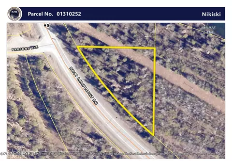 N/a Holt-lamplight Road, Nikiskinorth Kenai, AK 99611