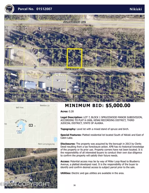 52780 Blueberry Ave, Nikiskinorth Kenai, AK 99611