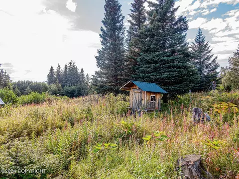 Exterior - 67470 Fishhook Rd, Ninilchik, AK 99639 photo 6 of 7